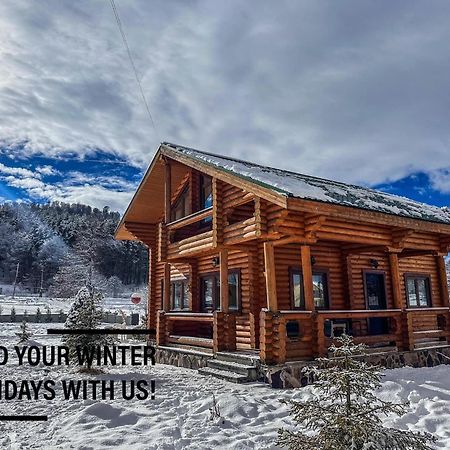 Log House Villa Bakuriani Kültér fotó