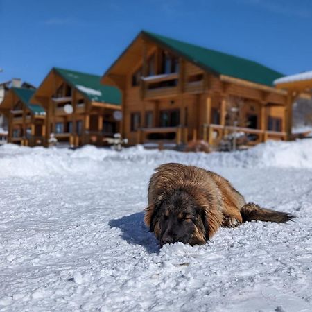 Log House Villa Bakuriani Kültér fotó