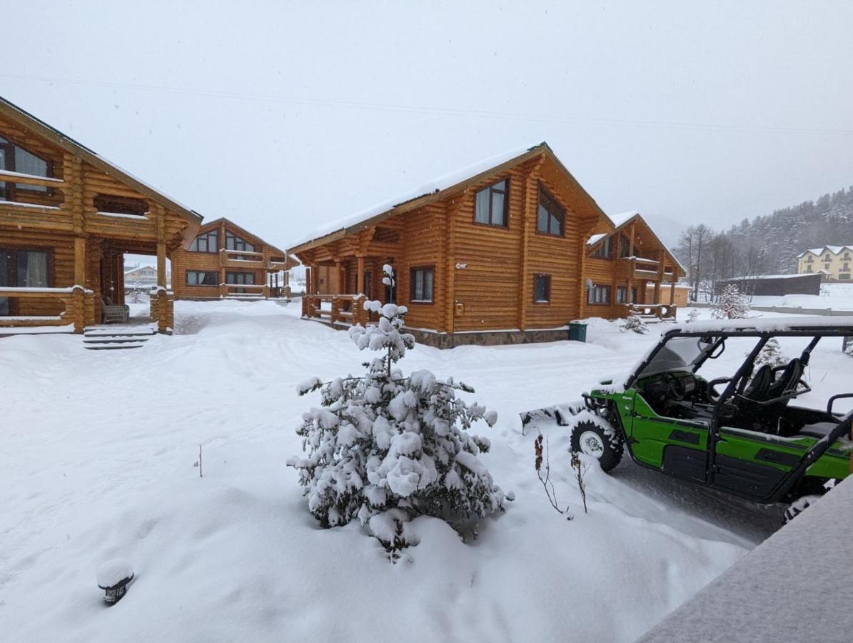 Log House Villa Bakuriani Kültér fotó