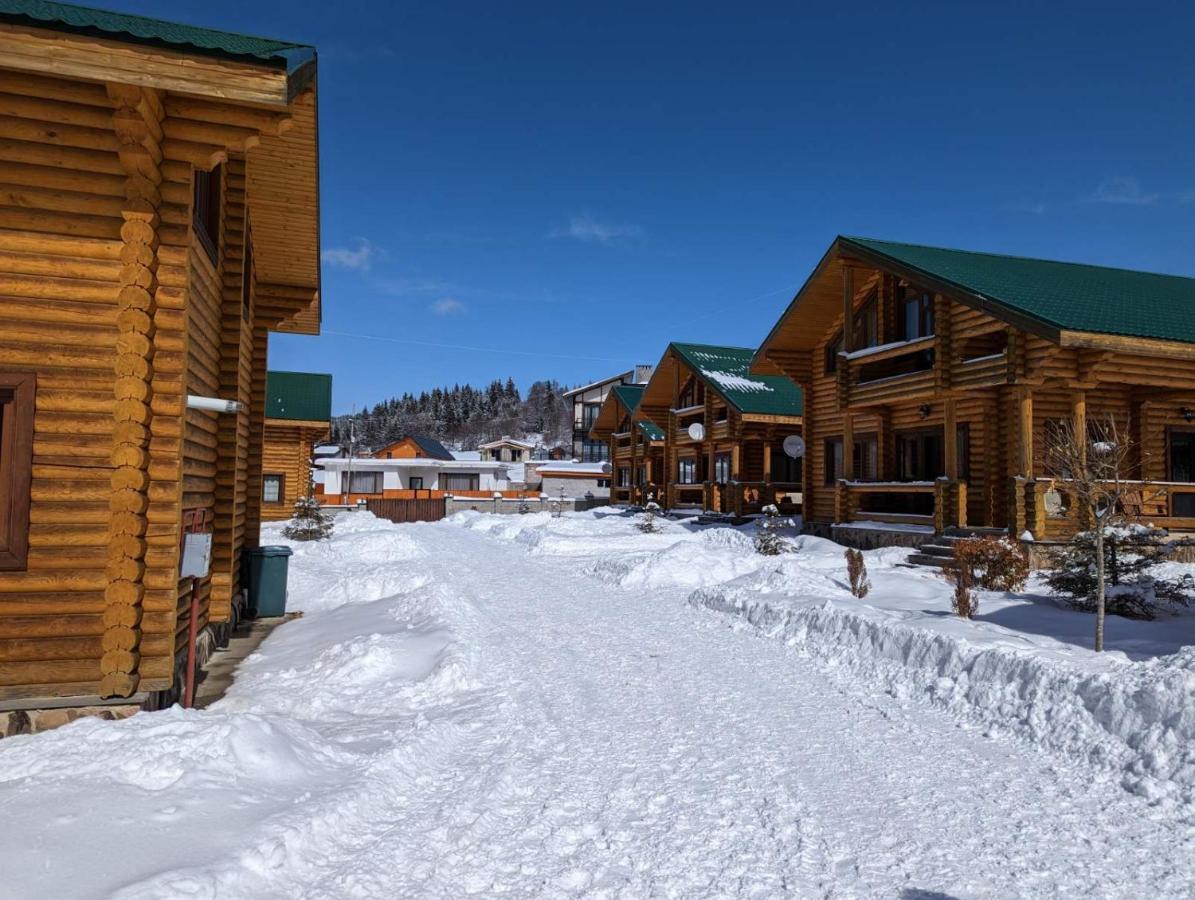 Log House Villa Bakuriani Kültér fotó